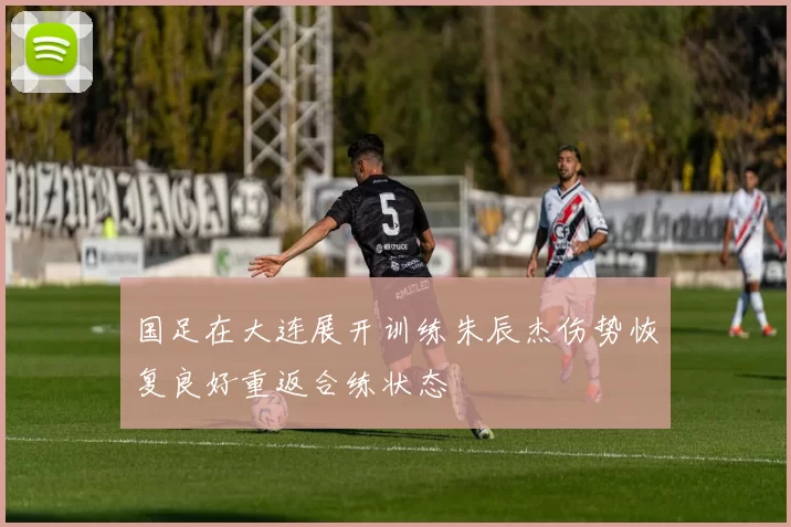 国足在大连展开训练朱辰杰伤势恢复良好重返合练状态