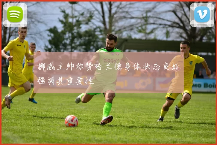 挪威主帅称赞哈兰德身体状态良好强调其重要性