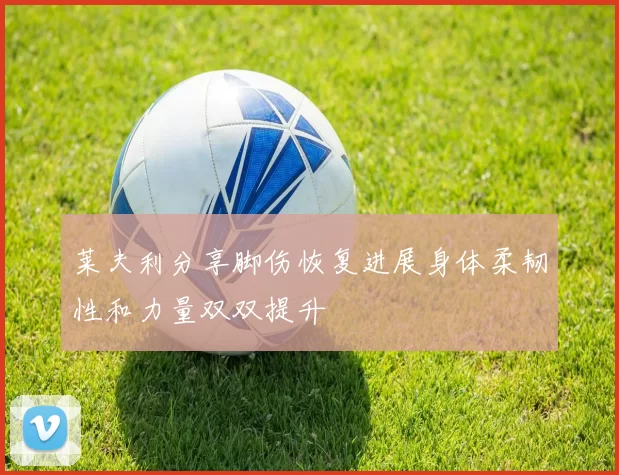 莱夫利分享脚伤恢复进展身体柔韧性和力量双双提升